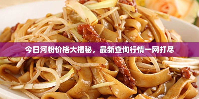 今日河粉价格大揭秘，最新查询行情一网打尽