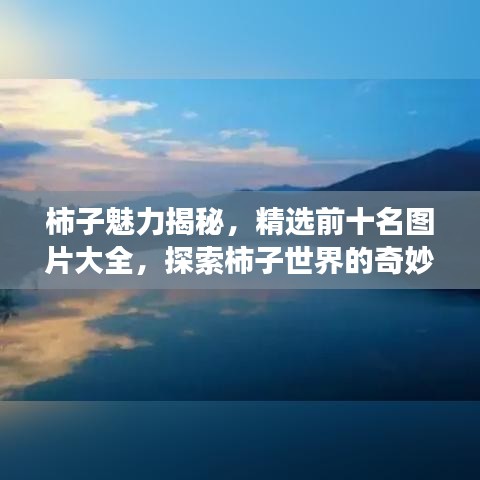 柿子魅力揭秘，精选前十名图片大全，探索柿子世界的奇妙之旅