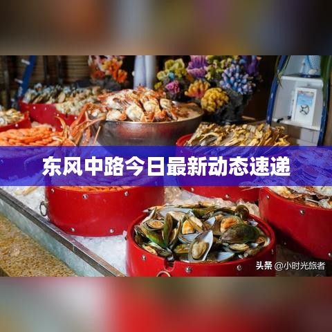 东风中路今日最新动态速递