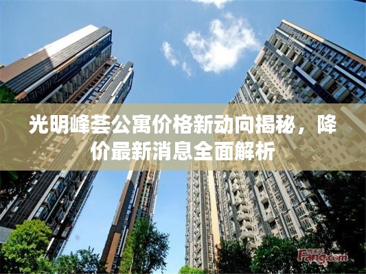 光明峰荟公寓价格新动向揭秘，降价最新消息全面解析