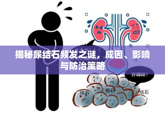 揭秘尿结石频发之谜，成因、影响与防治策略