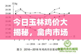 今日玉林鸡价大揭秘，禽肉市场动态与趋势分析