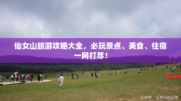仙女山旅游攻略大全，必玩景点、美食、住宿一网打尽！