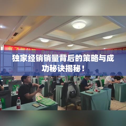 独家经销销量背后的策略与成功秘诀揭秘！