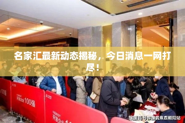 名家汇最新动态揭秘，今日消息一网打尽！