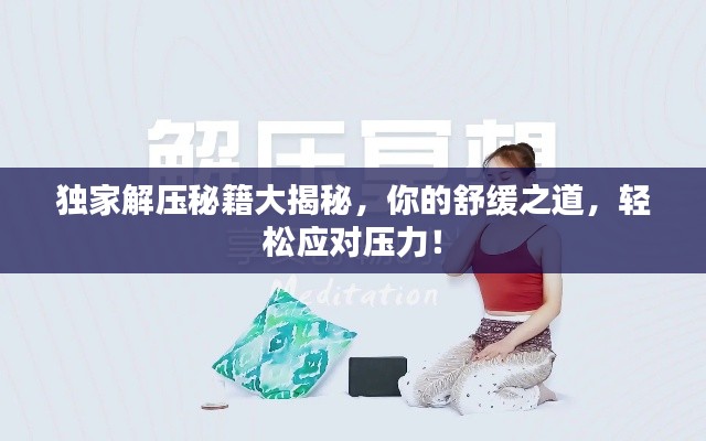 独家解压秘籍大揭秘，你的舒缓之道，轻松应对压力！