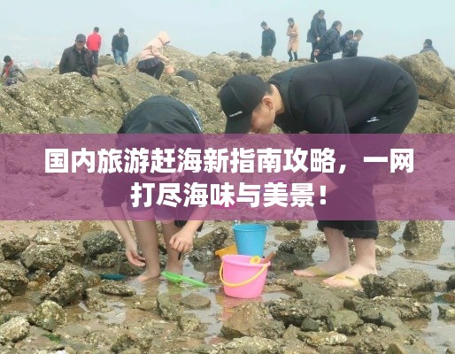 国内旅游赶海新指南攻略，一网打尽海味与美景！
