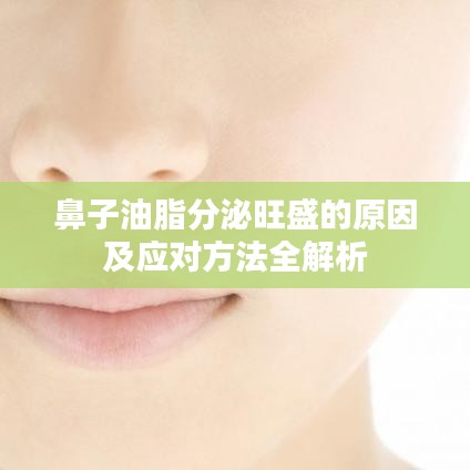鼻子油脂分泌旺盛的原因及应对方法全解析