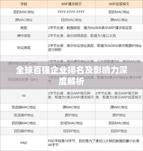 全球百强企业排名及影响力深度解析