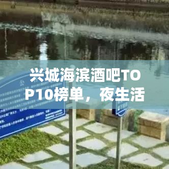 兴城海滨酒吧TOP10榜单，夜生活尽享海滨风情！