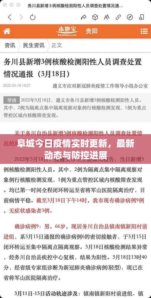 阜城今日疫情实时更新，最新动态与防控进展