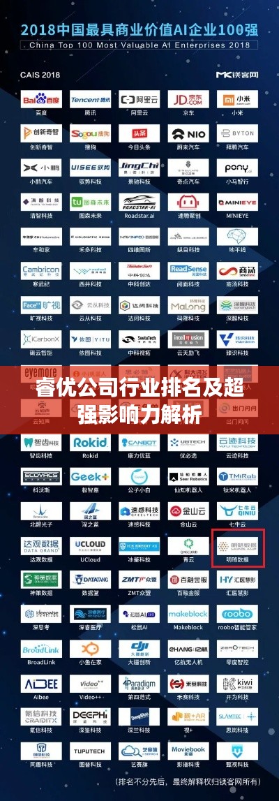 睿优公司行业排名及超强影响力解析