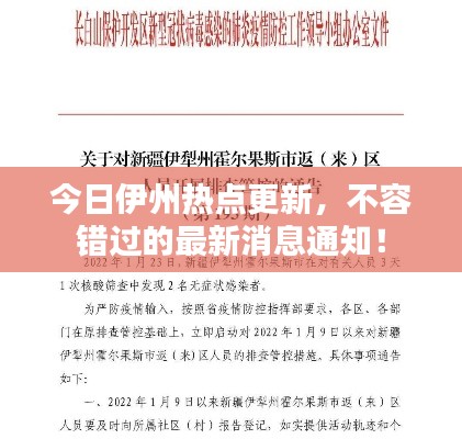 今日伊州热点更新，不容错过的最新消息通知！