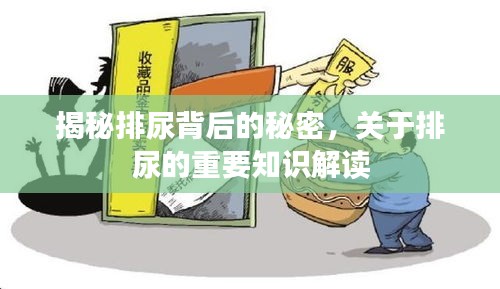 揭秘排尿背后的秘密，关于排尿的重要知识解读