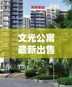 文光公寓最新出售信息，打造理想居住环境，品质生活触手可及