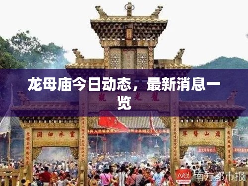 龙母庙今日动态，最新消息一览