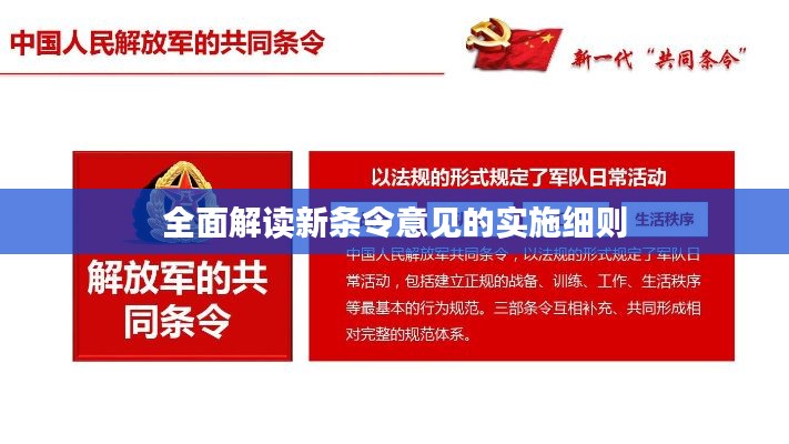全面解读新条令意见的实施细则