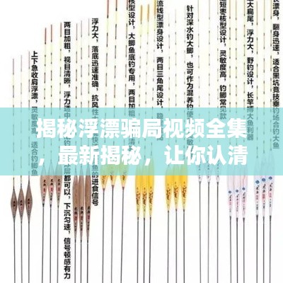 揭秘浮漂骗局视频全集，最新揭秘，让你认清真相！