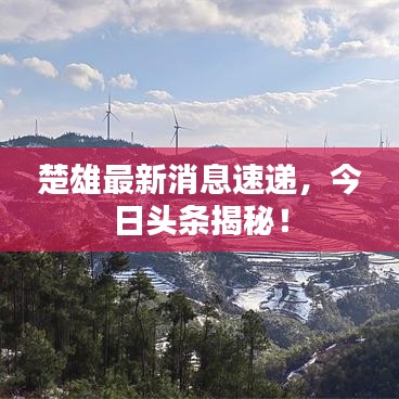 楚雄最新消息速递，今日头条揭秘！