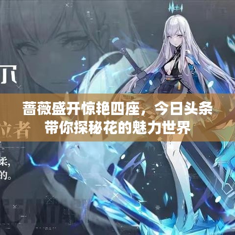 蔷薇盛开惊艳四座，今日头条带你探秘花的魅力世界