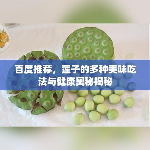 百度推荐，莲子的多种美味吃法与健康奥秘揭秘