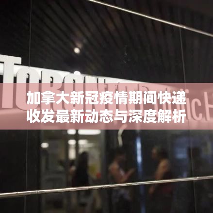 加拿大新冠疫情期间快递收发最新动态与深度解析