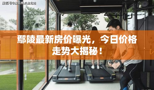 鄢陵最新房价曝光，今日价格走势大揭秘！