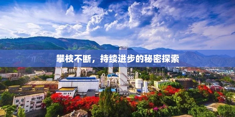 攀枝不断，持续进步的秘密探索