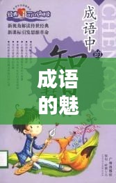 成语的魅力与智慧，探寻其不断轮番的奥秘