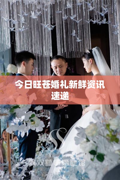 今日旺苍婚礼新鲜资讯速递