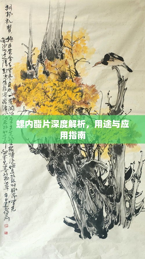 远山芙蓉