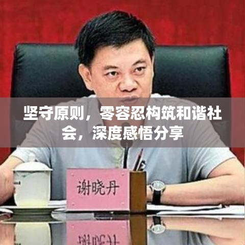 坚守原则，零容忍构筑和谐社会，深度感悟分享
