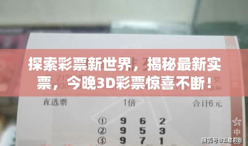 探索彩票新世界，揭秘最新实票，今晚3D彩票惊喜不断！