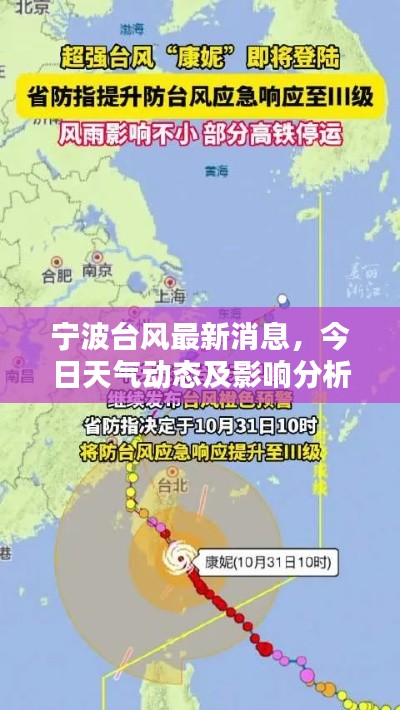 宁波台风最新消息，今日天气动态及影响分析