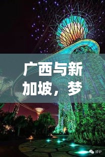 广西与新加坡，梦幻之旅的独家攻略