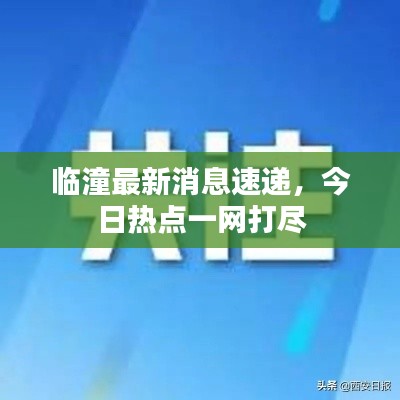 临潼最新消息速递，今日热点一网打尽