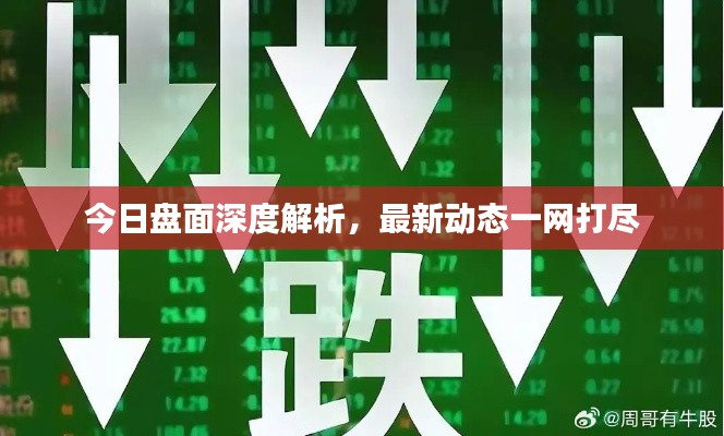 今日盘面深度解析，最新动态一网打尽