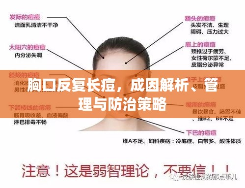 胸口反复长痘，成因解析、管理与防治策略