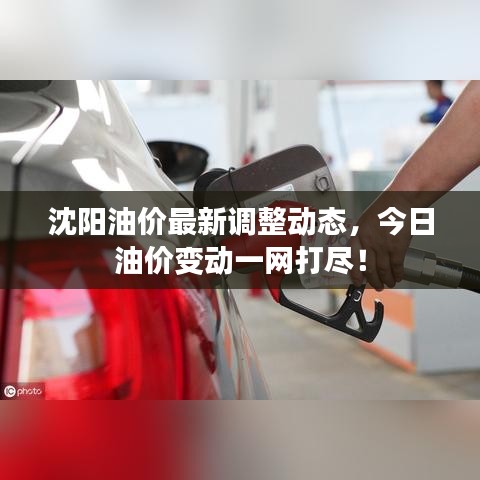 沈阳油价最新调整动态，今日油价变动一网打尽！