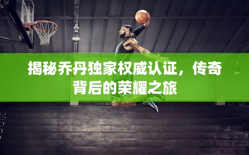 揭秘乔丹独家权威认证，传奇背后的荣耀之旅