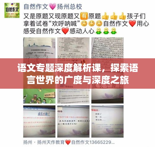 语文专题深度解析课，探索语言世界的广度与深度之旅