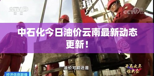 中石化今日油价云南最新动态更新！