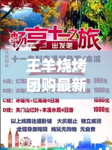 王羊烧烤团购最新价格表揭秘，优惠折扣与更多信息一网打尽！