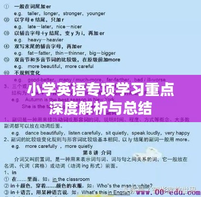 小学英语专项学习重点深度解析与总结
