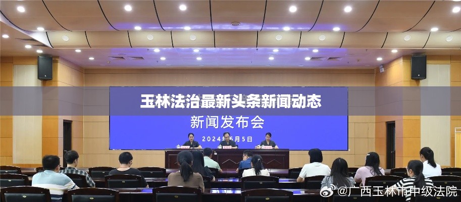 玉林法治最新头条新闻动态