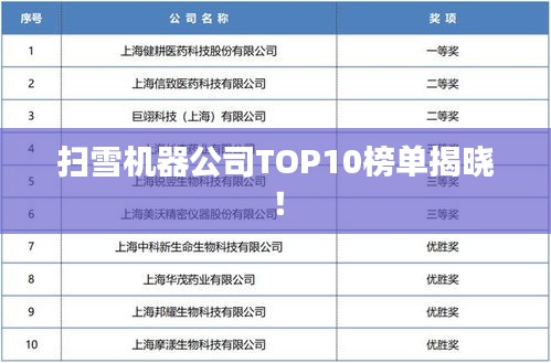 扫雪机器公司TOP10榜单揭晓！
