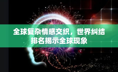 施工现场 第48页