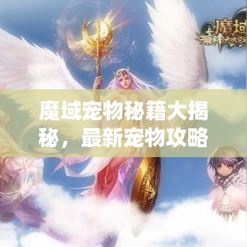 魔域宠物秘籍大揭秘，最新宠物攻略全解析