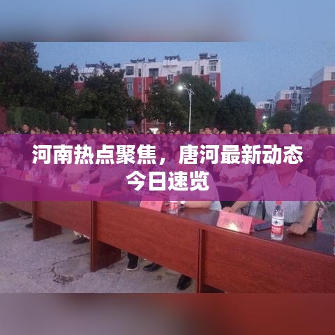 河南热点聚焦，唐河最新动态今日速览