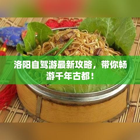 洛阳自驾游最新攻略，带你畅游千年古都！